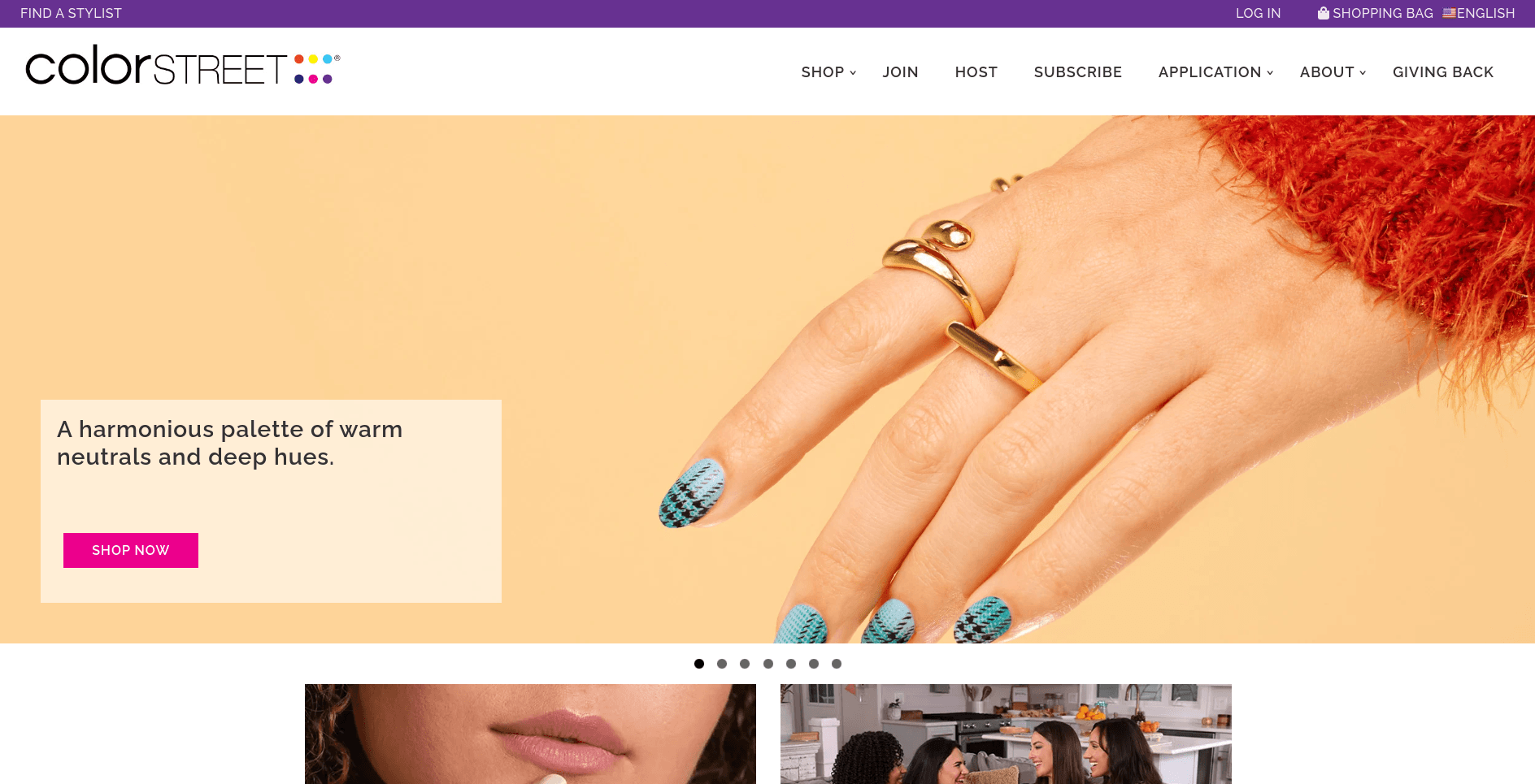 company screenshot